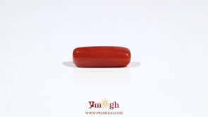 Red Coral - 5.5 Carat