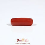 Red Coral - 5.5 Carat