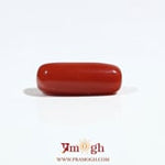 Red Coral - 7.05 Carat