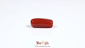 Red Coral - 6.55 Carat