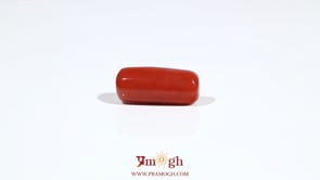 Red Coral - 6.65 Carat