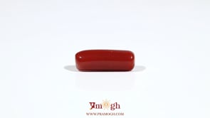 Red Coral - 6.05 Carat