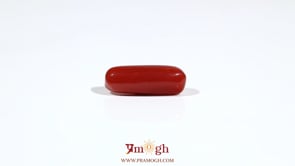 Red Coral - 5.85 Carat