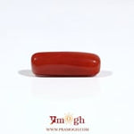 Red Coral - 6.75 Carat