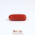 Red Coral - 6.3 Carat