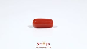 Red Coral - 6.55 Carat