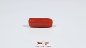 Red Coral - 7.05 Carat