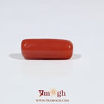 Red Coral - 7.05 Carat