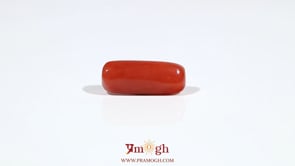 Red Coral - 6.85 Carat