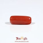 Red Coral - 6.85 Carat