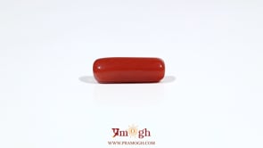 Red Coral - 5.6 Carat