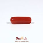 Red Coral - 5.6 Carat