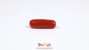 Red Coral - 5.9 Carat