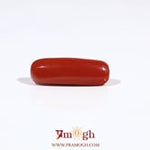 Red Coral - 5.9 Carat