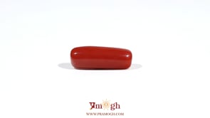 Red Coral - 7.2 Carat