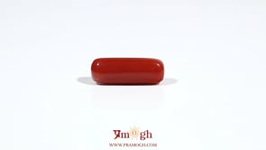 Red Coral - 6.05 Carat
