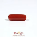 Red Coral - 6.05 Carat