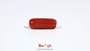 Red Coral - 7.25 Carat