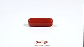 Red Coral - 7.2 Carat