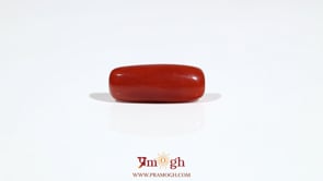 Red Coral - 6.85 Carat