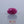 Load and play video in Gallery viewer, African Ruby - 3.85 Carat

