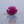 Load and play video in Gallery viewer, African Ruby - 8.1 Carat
