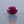 Load and play video in Gallery viewer, African Ruby - 4.85 Carat
