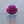 Load and play video in Gallery viewer, African Ruby - 7.25 Carat

