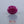 Load and play video in Gallery viewer, African Ruby - 5.85 Carat
