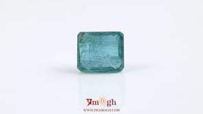 Zambian Emerald - 5.5 Carat