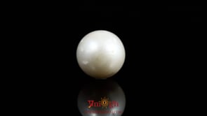 Pearl - 10.45 Carat
