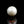 Load and play video in Gallery viewer, Pearl - 10.45 Carat
