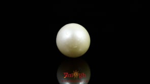 Pearl - 9.65 Carat