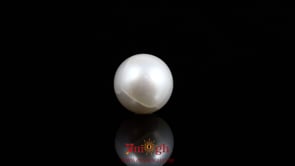 Pearl - 7.5 Carat