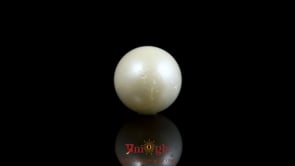 Pearl - 9.05 Carat