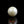 Load and play video in Gallery viewer, Pearl - 9.05 Carat
