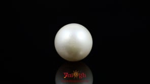 Pearl - 10.85 Carat