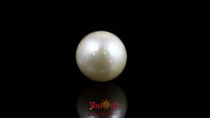 Pearl - 11.4 Carat