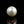 Load and play video in Gallery viewer, Pearl - 11.4 Carat
