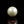 Load and play video in Gallery viewer, Pearl - 10.8 Carat
