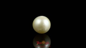 Pearl - 7.3 Carat