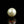 Load and play video in Gallery viewer, Pearl - 7.3 Carat
