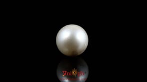 Pearl - 8.75 Carat