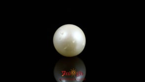 Pearl - 9.15 Carat