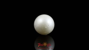 Pearl - 9.7 Carat