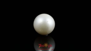 Pearl - 10.6 Carat