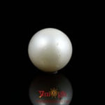 Pearl - 10.6 Carat
