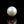 Load and play video in Gallery viewer, Pearl - 10.6 Carat
