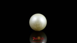 Pearl - 9.05 Carat