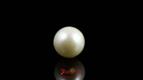 Pearl - 7.8 Carat